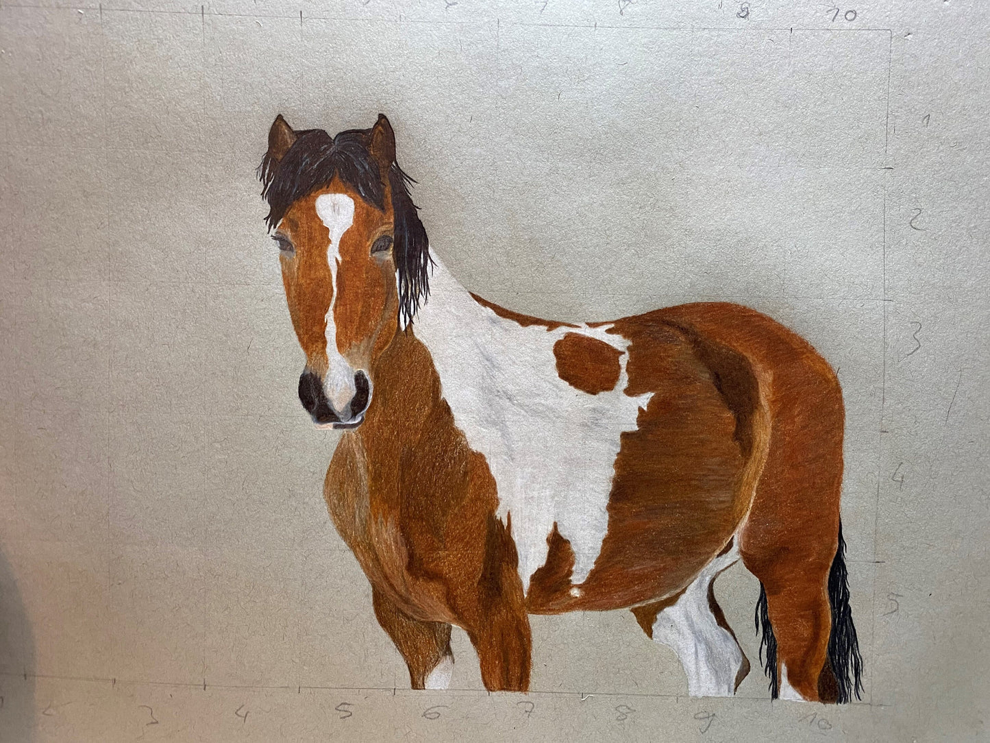 Personalisiertes Tierportrait, handgezeichnet , Tiermalerei , Haustier-Verlust , Portrait vom Foto , Erinnerungs - Geschenk , Tier , Portrt