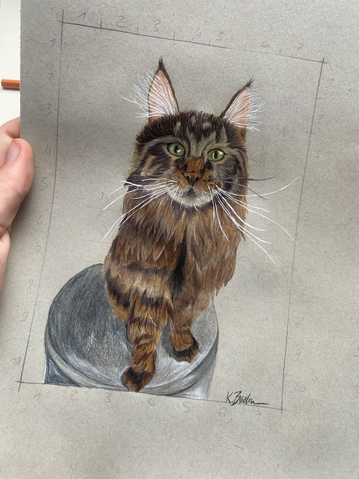 Personalisiertes Tierportrait, handgezeichnet , Tiermalerei , Haustier-Verlust , Portrait vom Foto , Erinnerungs - Geschenk , Tier , Portrt