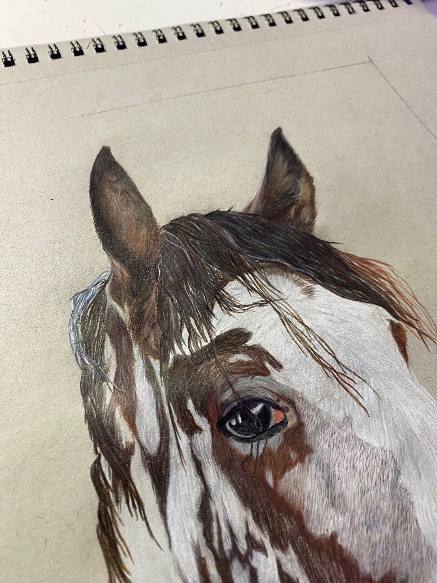 Personalisiertes Tierportrait, handgezeichnet , Tiermalerei , Haustier-Verlust , Portrait vom Foto , Erinnerungs - Geschenk , Tier , Portrt